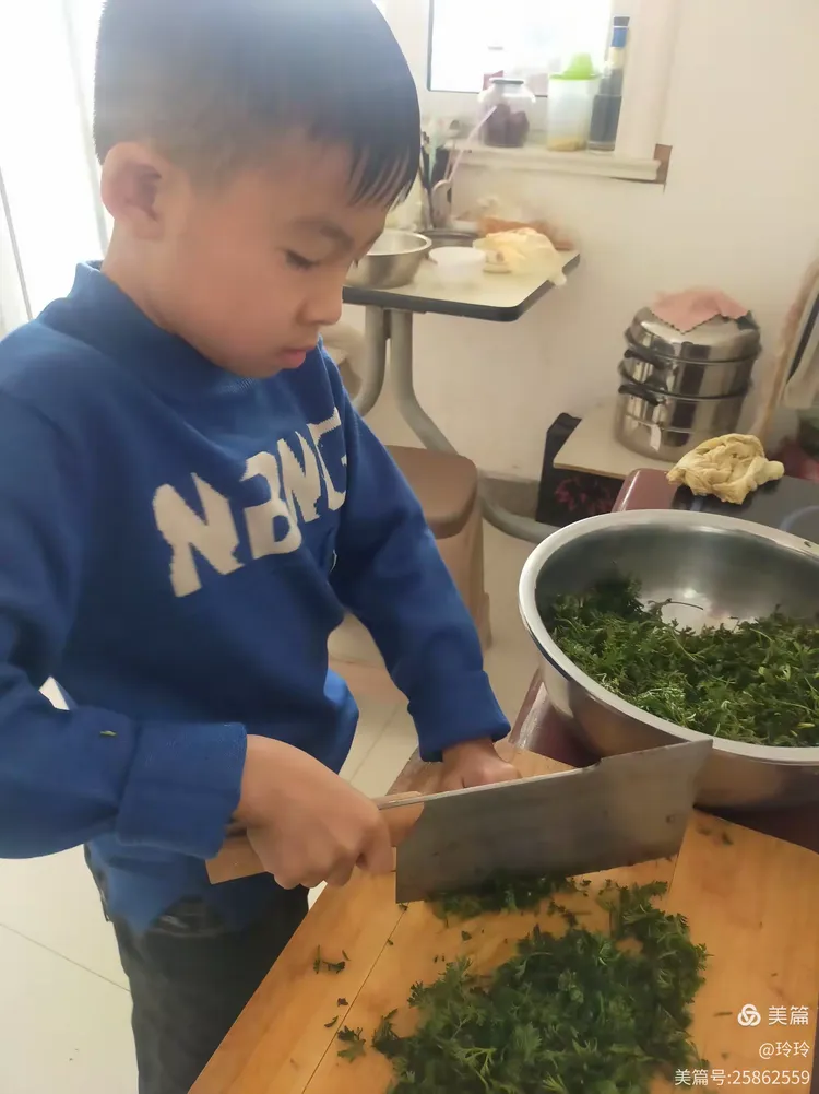 王艺帆 清明踏春_茵陈做美食